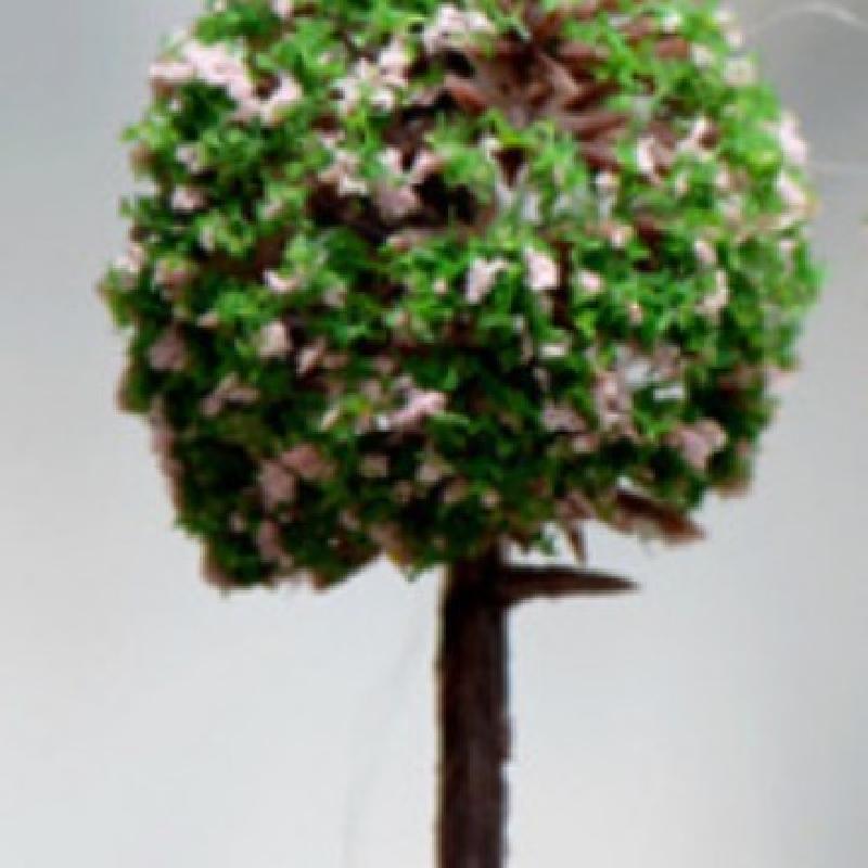 Tiểu cảnh cây bóng nhỏ 5 màu trang trí chậu cây mọng nước (ZC-767)