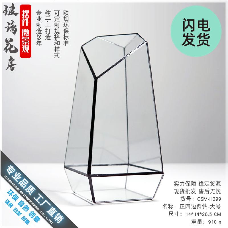 Chậu Đa Giác Bình sinh thái cây xanh mini (DG-10)