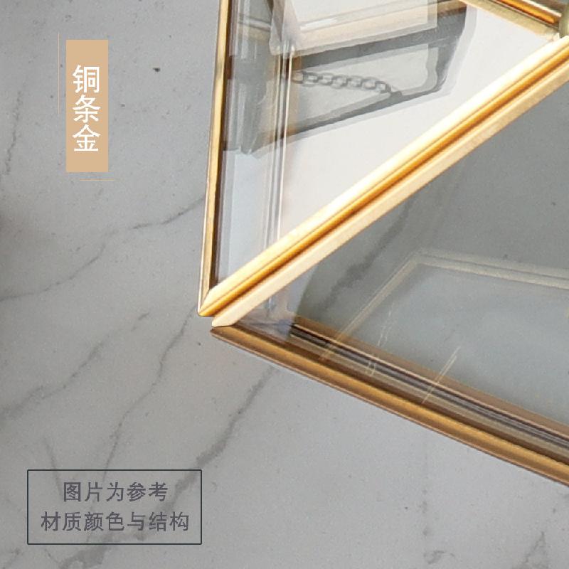 Bình sinh thái rêu cảnh mini (DG-3)