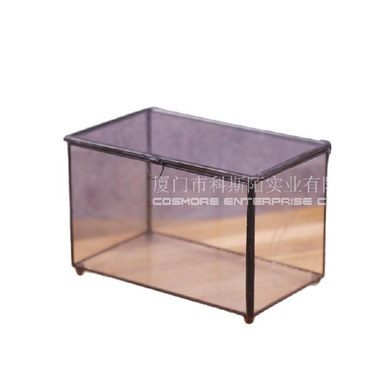 Hộp kính sinh thái cây mini (DG-29)