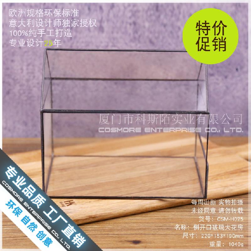 Chậu Đa Giác Nhà kính mở bên lớn Terrarium (DG-220)