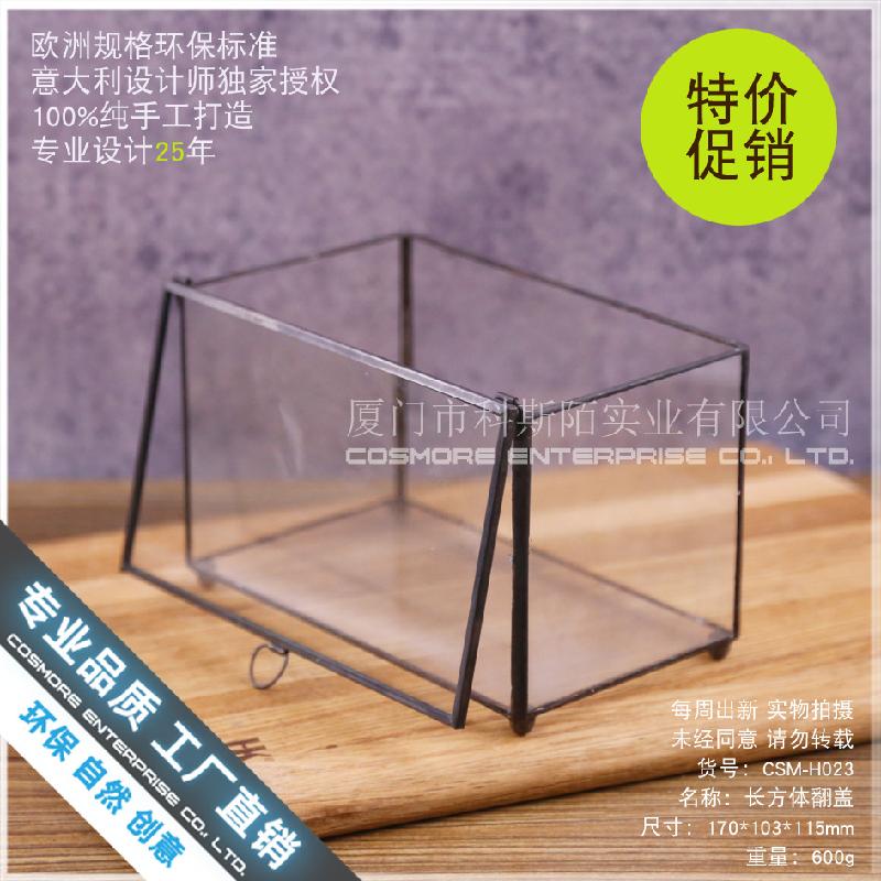 Chậu Đa Giác Hộp kính sinh thái cây mini (DG-29)