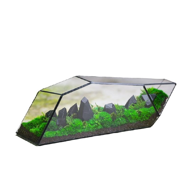 Bể Terrarium rêu cảnh, tường cây, bể cá kính (DG-64)