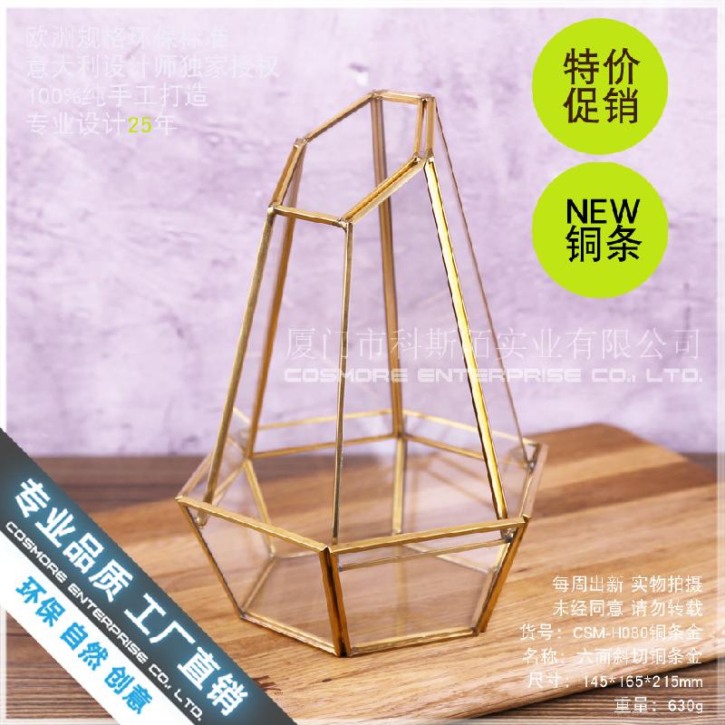 Chậu Đa Giác Nhà kính 6 mặt cắt, Terrarium rêu cảnh (DG-167)