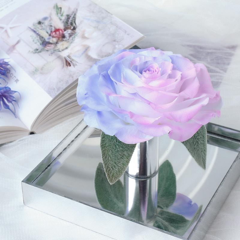 Hoa khô trang trí FY-112