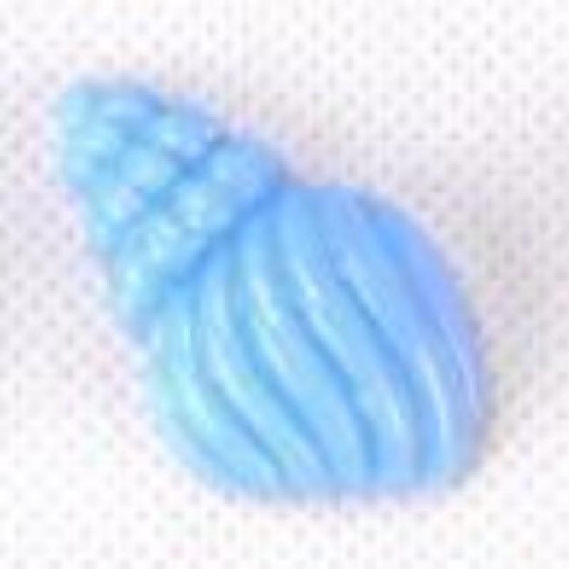 Ốc biển resin DIY trang trí điện thoại phong cách biển (ZC-648)