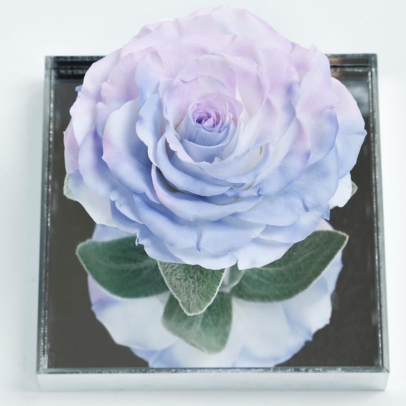 Hoa khô trang trí FY-112