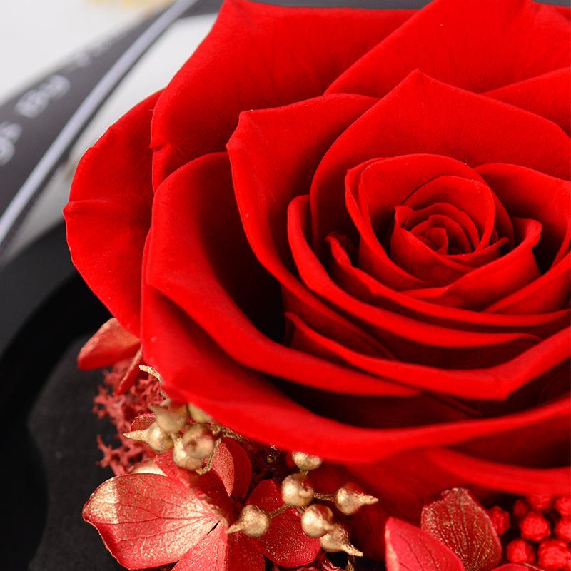 Hoa khô trang trí FY-155