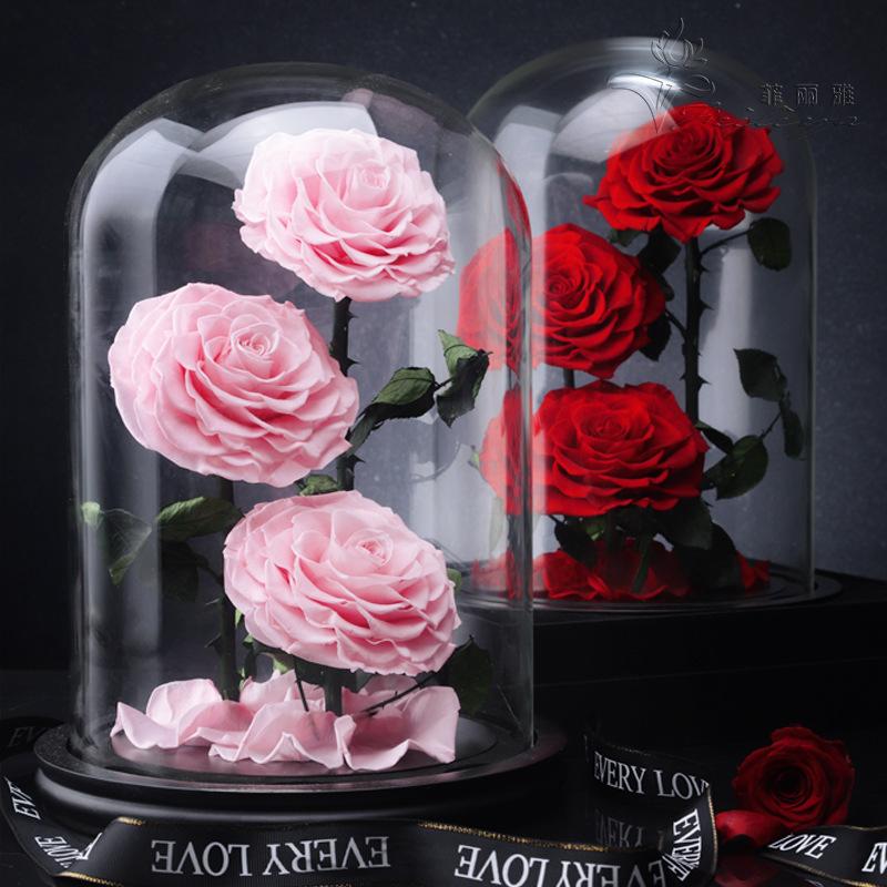 Hoa khô trang trí FY-157