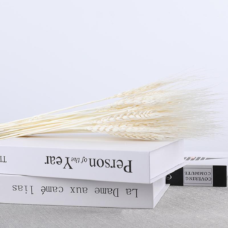 Hoa khô trang trí FY-69