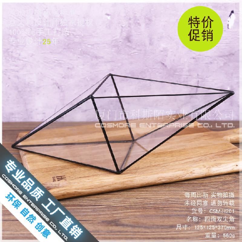 Chậu Đa Giác Bình sinh thái rêu cảnh DIY, chậu cây mini (DG-164)