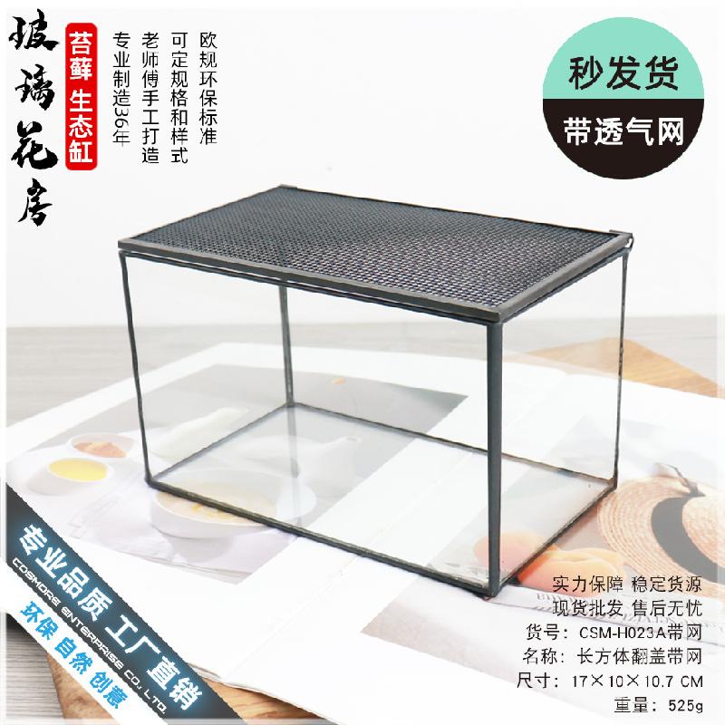 Chậu Đa Giác Bình sinh thái rêu cảnh mini (DG-3)