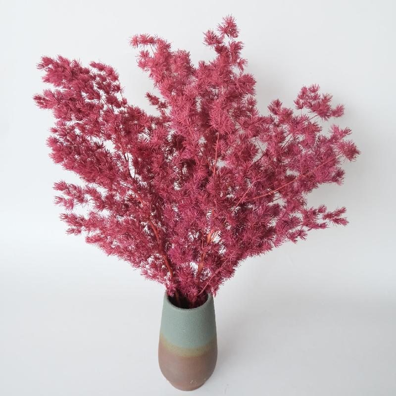 Hoa khô trang trí FY-41