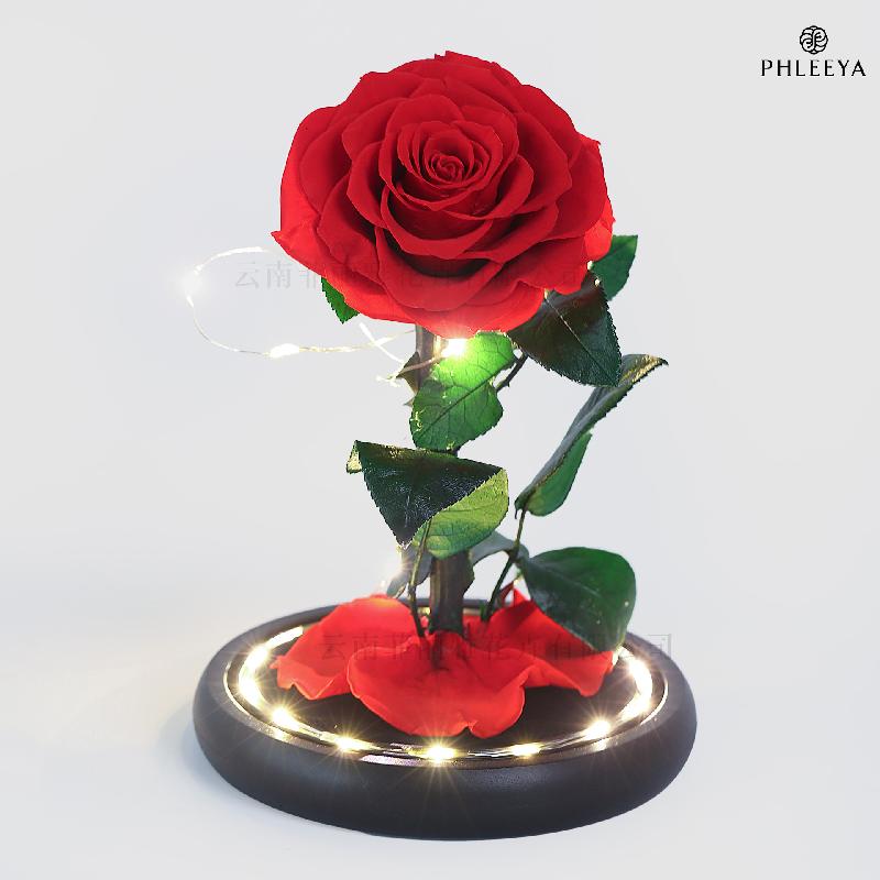 Hoa khô trang trí Hoa hồng vĩnh cửu hộp mica Hoàng tử bé quà Thất Tịch Valentine (HK-42)