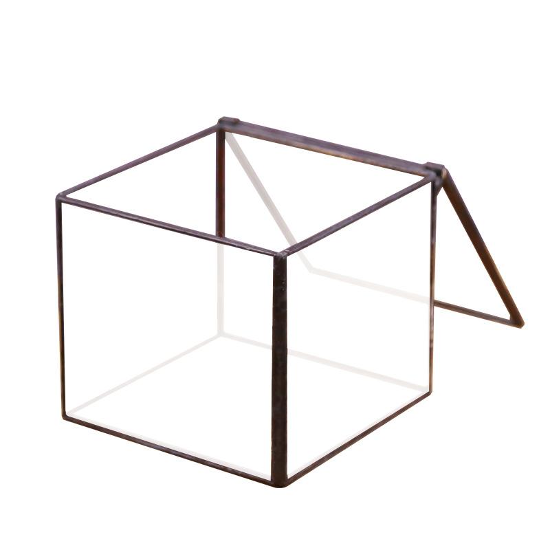 Hộp kính rêu cảnh, bình sinh thái rừng mini (DG-63)