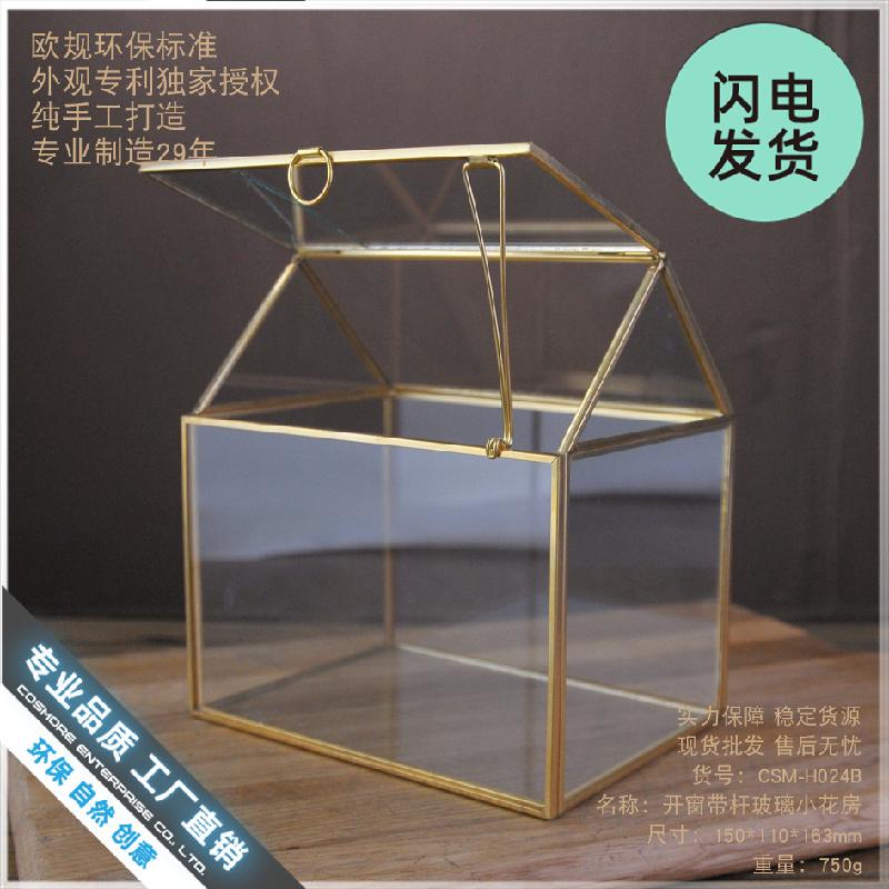 Chậu Đa Giác Nhà kính cửa sổ viền vàng, tiểu cảnh rêu (DG-69)