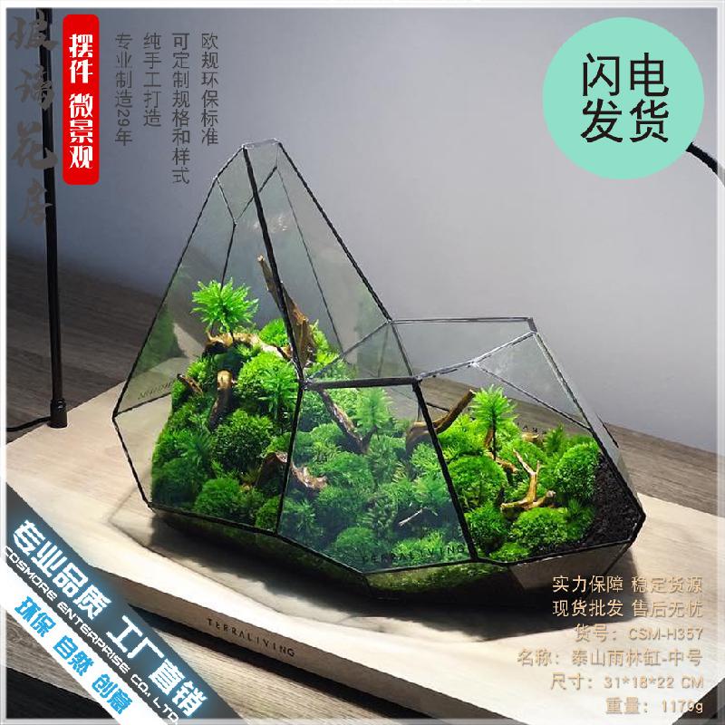 Chậu Đa Giác DG-6 Các cảnh quan nhỏ, rừng mây tảo, hình học rừng, tường kính, phòng hoa không đều, chai sinh thái không đều, các hộp cây thực vật nhiều thịt, các hộp cây cỏ nước và các bình hoa