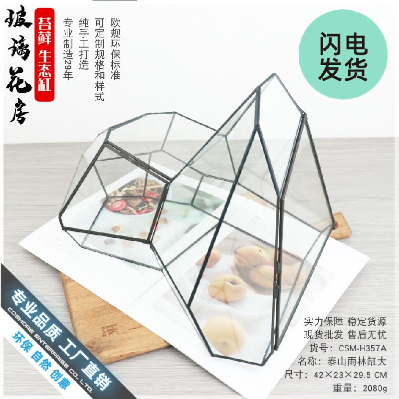 Chậu Đa Giác Bể rêu cảnh rừng nhiệt đới hình học (DG-61)