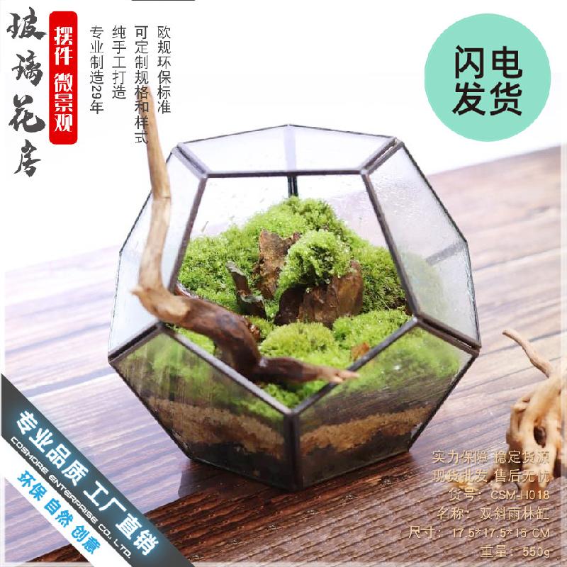 Chậu Đa Giác Nhà kính 12 mặt Terrarium rêu cảnh (DG-17)