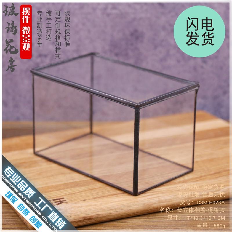 Chậu Đa Giác DG-9 Hộp nhỏ cảnh quan sinh thái bọt xanh tím