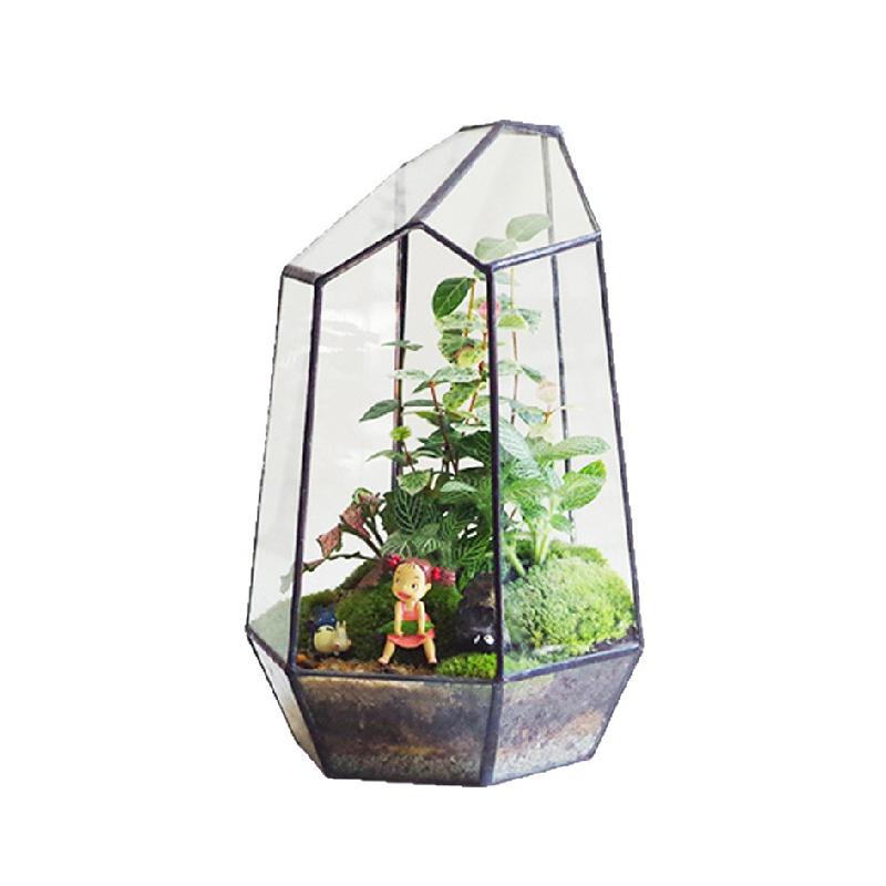 Bình kính Terrarium rêu cảnh (DG-22)