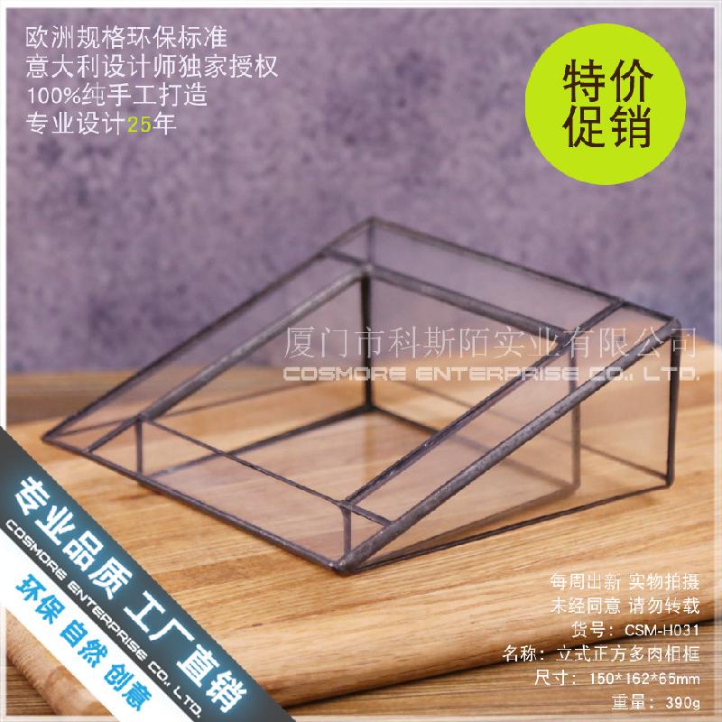 Chậu Đa Giác Nhà kính vuông đứng Terrarium, chậu sen đá mini (DG-53)
