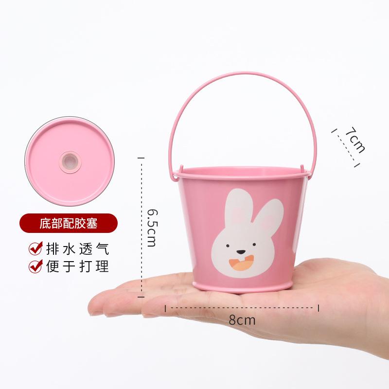 Chậu Cây Resin Chậu cây mọng nước hoạt hình mini, chậu sắt để bàn, trang trí ban công và tiểu cảnh (RG-129)