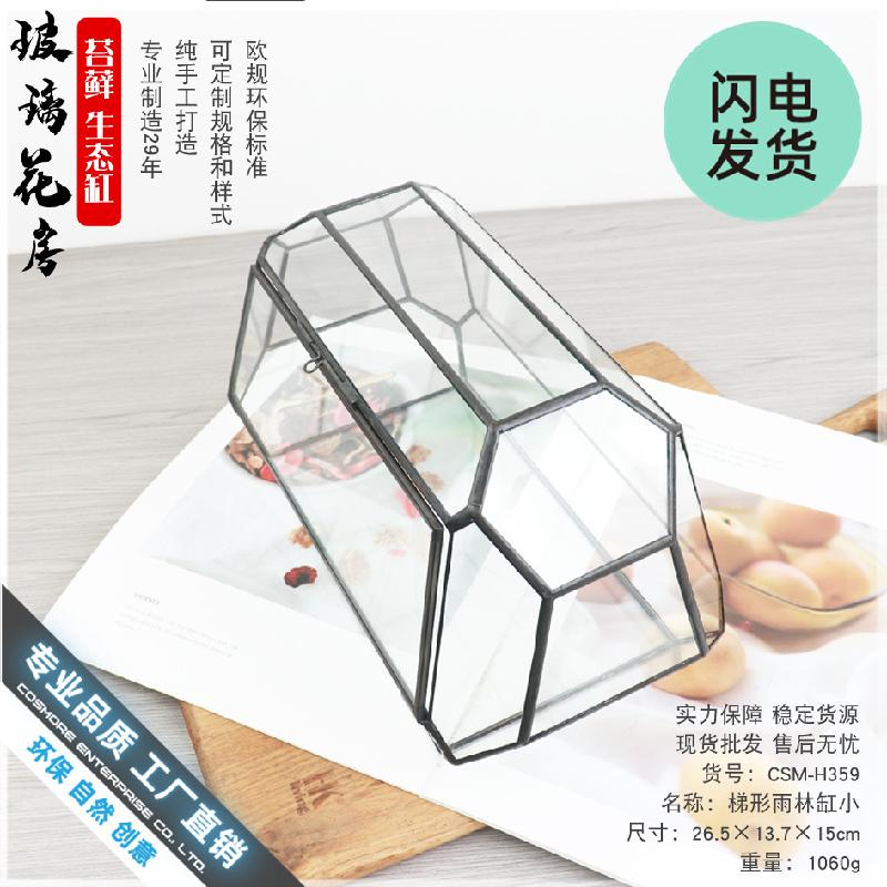Chậu Đa Giác Bình kính rừng mini Terrarium (DG-5)