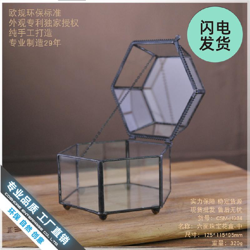 Chậu Đa Giác Hộp kính 6 mặt Terrarium sen đá (DG-217)