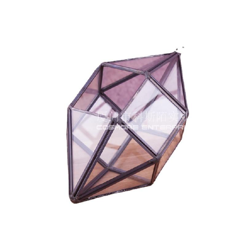 Nhà kính 6 mặt kép Terrarium rêu cảnh (DG-208)