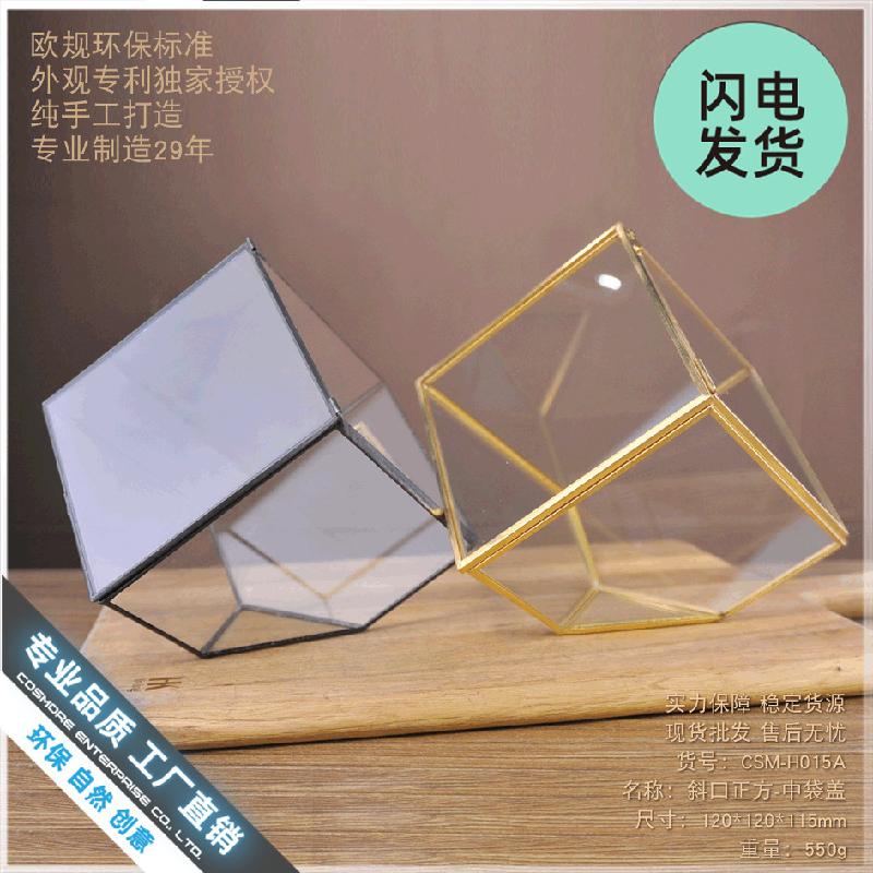 Chậu Đa Giác Nhà kính vuông nghiêng mini (DG-35)