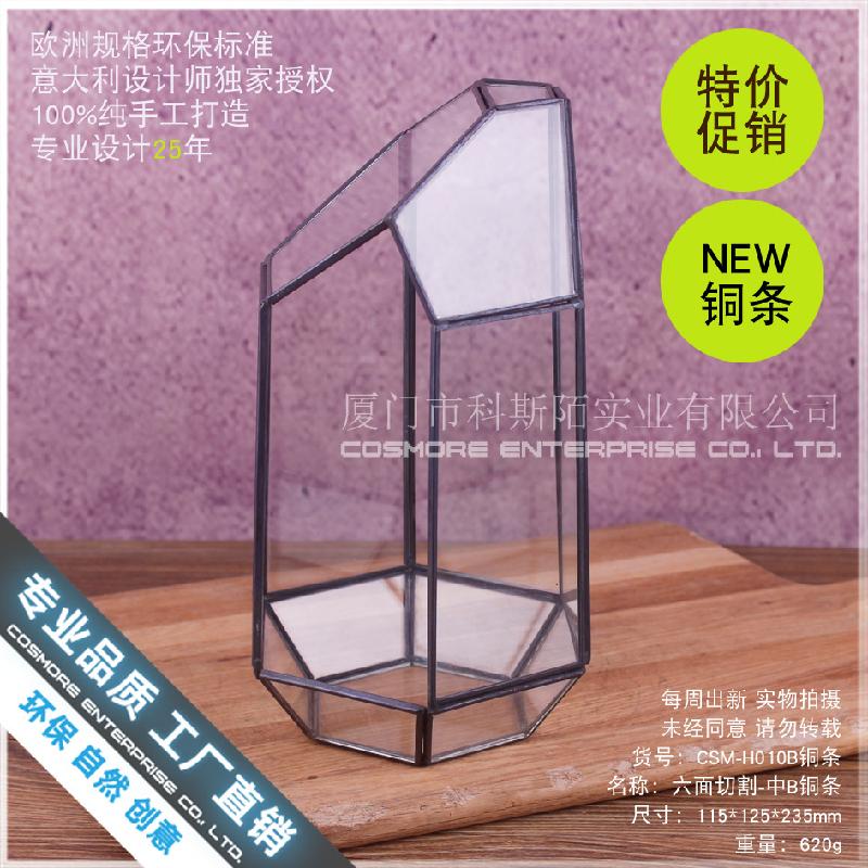 Chậu Đa Giác Nhà kính 6 mặt cắt viền đồng, Terrarium (DG-190)