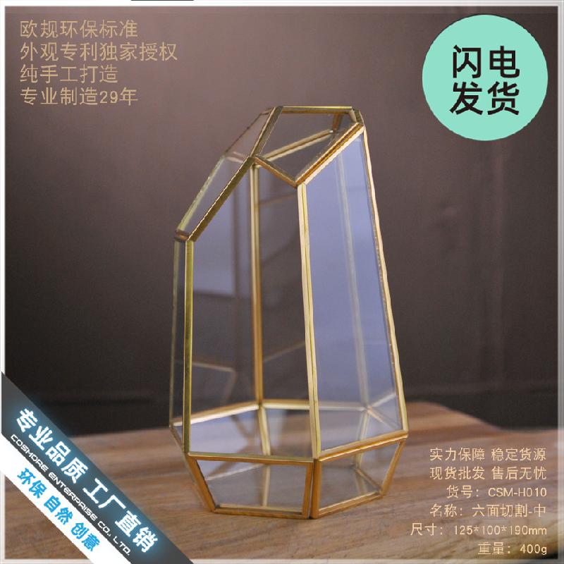Bể kính rêu cảnh 6 mặt (DG-31)
