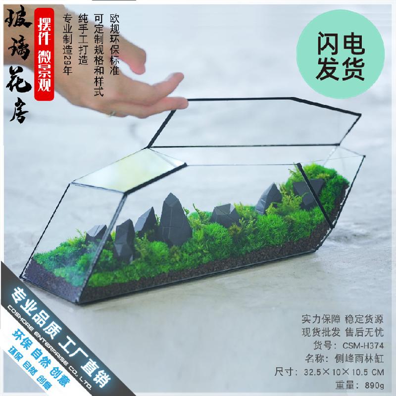 Chậu Đa Giác Bể Terrarium rêu cảnh, tường cây, bể cá kính (DG-64)