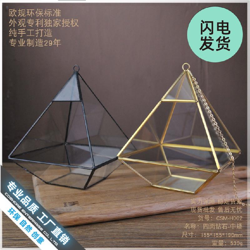 Chậu Đa Giác Chụp kính hoa bất tử Terrarium (DG-36)