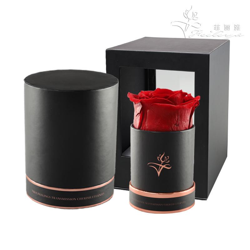 Hoa khô trang trí FY-104