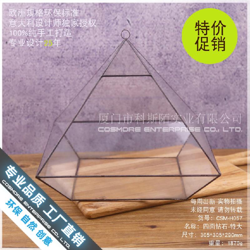 Chậu Đa Giác Nhà kính kim cương siêu lớn Terrarium sen đá (DG-202)