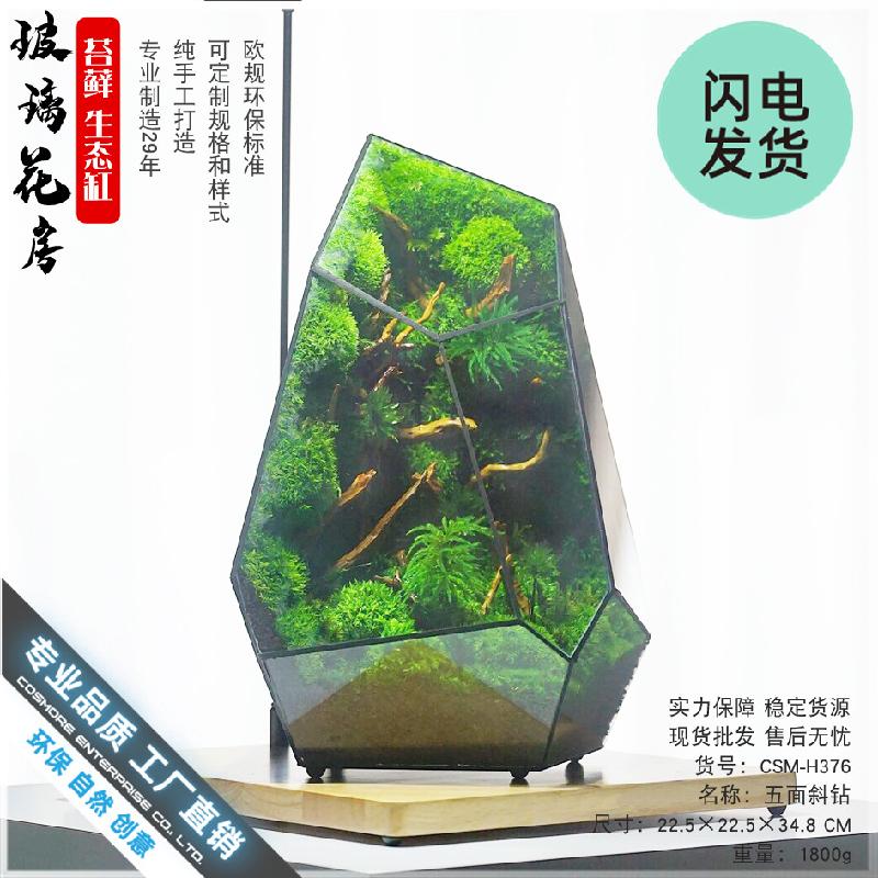 Chậu Đa Giác Nhà kính Terrarium hình học DIY (DG-59)