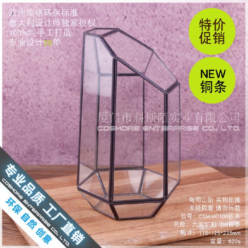 Chậu Đa Giác Nhà kính 6 mặt cắt viền đồng, Terrarium (DG-190)