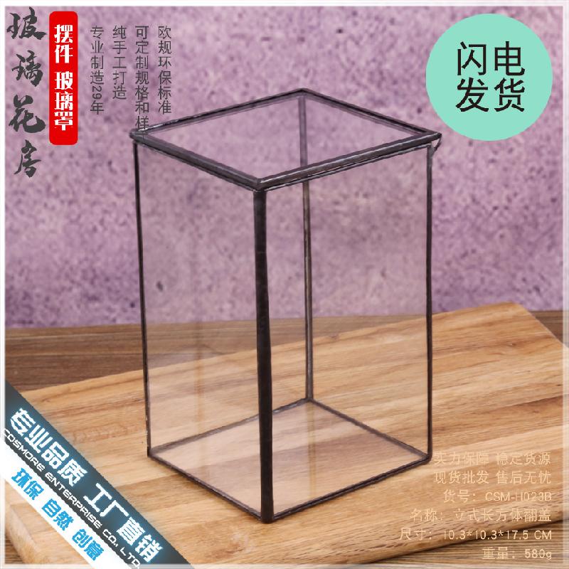 Chậu Đa Giác DG-7 Hộp kính hình lập phục vụ cây thực vật tảo, cảnh quan nhỏ không định hình