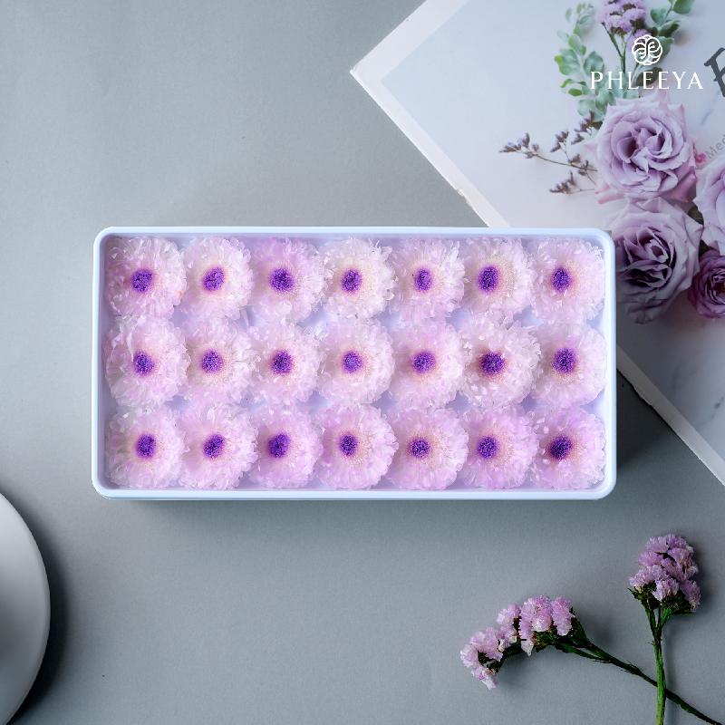 Hoa khô trang trí Hoa cúc vĩnh cửu DIY hoa khô cắm bình trang trí (HK-37)