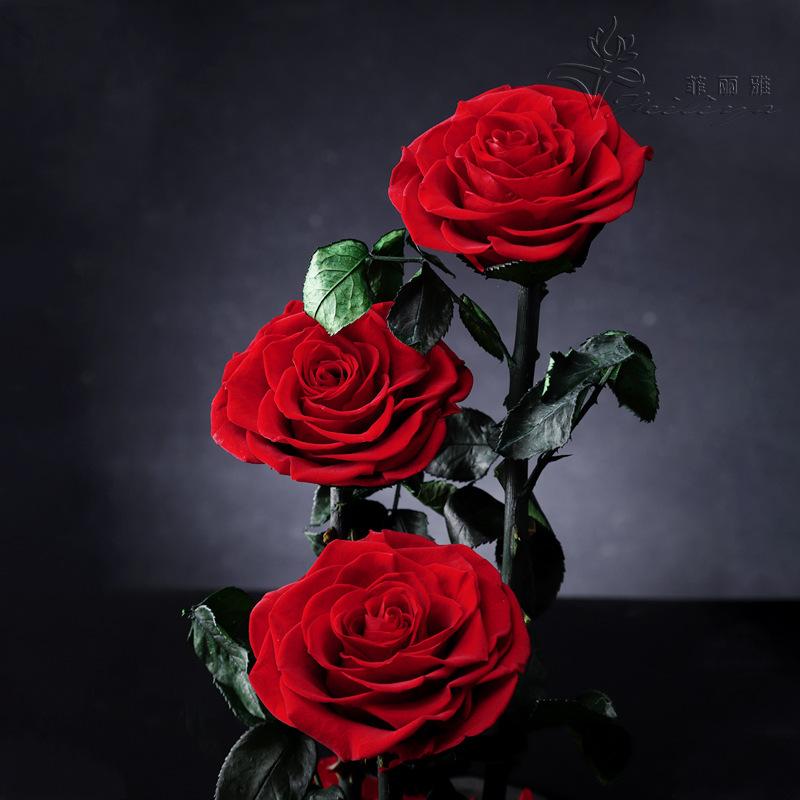 Hoa khô trang trí FY-157