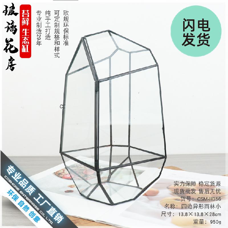 Chậu Đa Giác Bể Terrarium rừng mưa mini (DG-45)