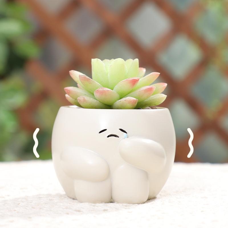 Chậu Cây Resin Chậu cây mọng nước mặt biểu cảm hoạt hình resin, chậu mini để bàn, trang trí sân vườn (RG-65)