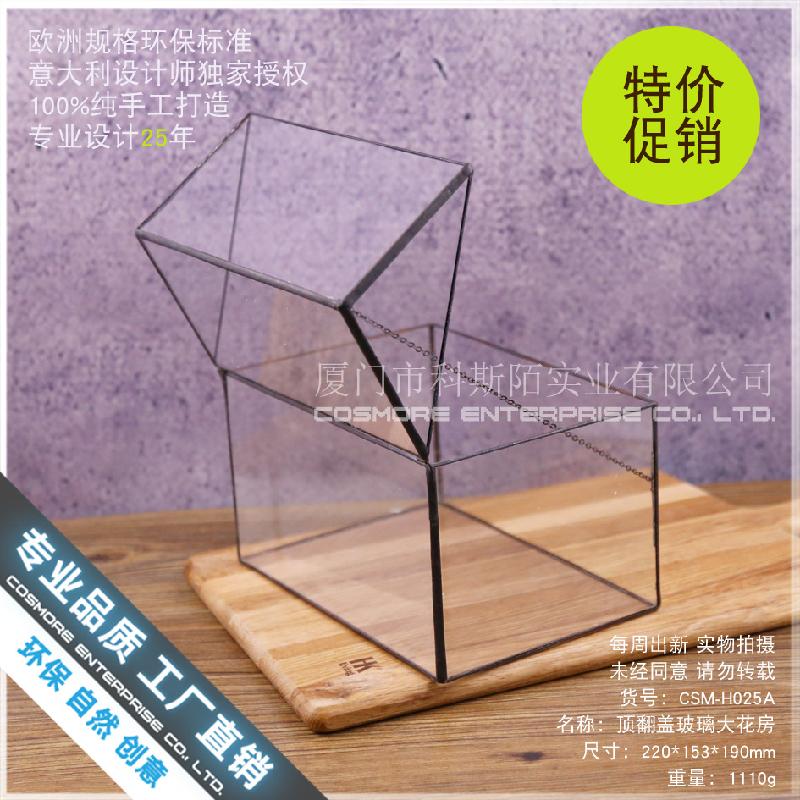 Chậu Đa Giác Nhà kính cây mọng nước mini (DG-16)