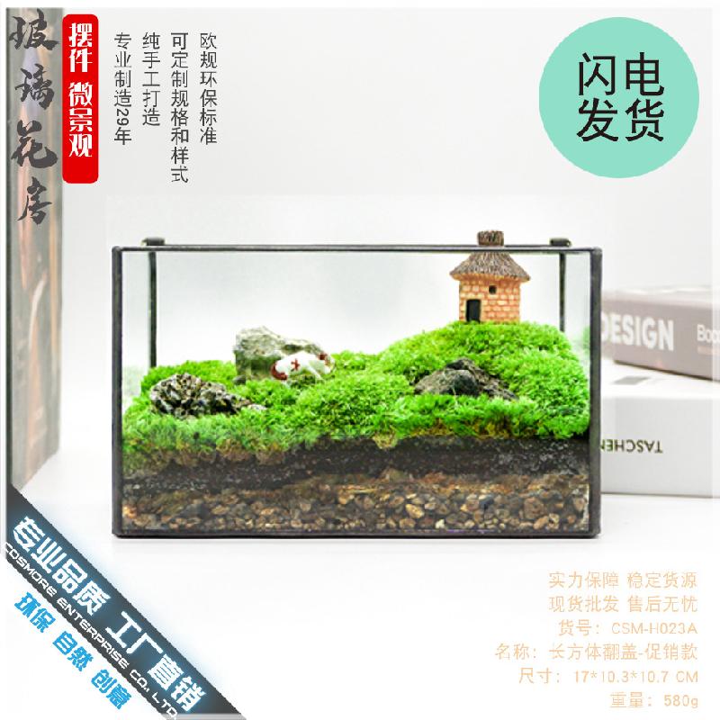 Chậu Đa Giác DG-9 Hộp nhỏ cảnh quan sinh thái bọt xanh tím