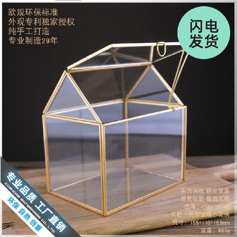 Chậu Đa Giác Bể kính tạo cảnh rừng mini (DG-9)