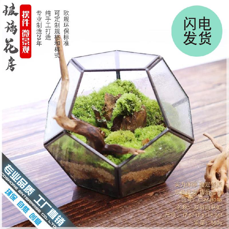 Chậu Đa Giác DG-25 Nhà thờ kính của nhà sản xuất trực tiếp bán sản phẩm nổi bật là tháp 12 mặt với các cây cỏ trong nhà thờ kính, sáng tạo, thức ăn nhỏ và đầy đủ các loại hoa cây