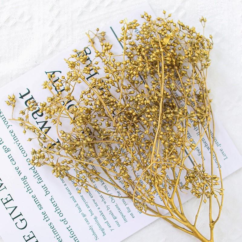 Hoa khô trang trí FY-43