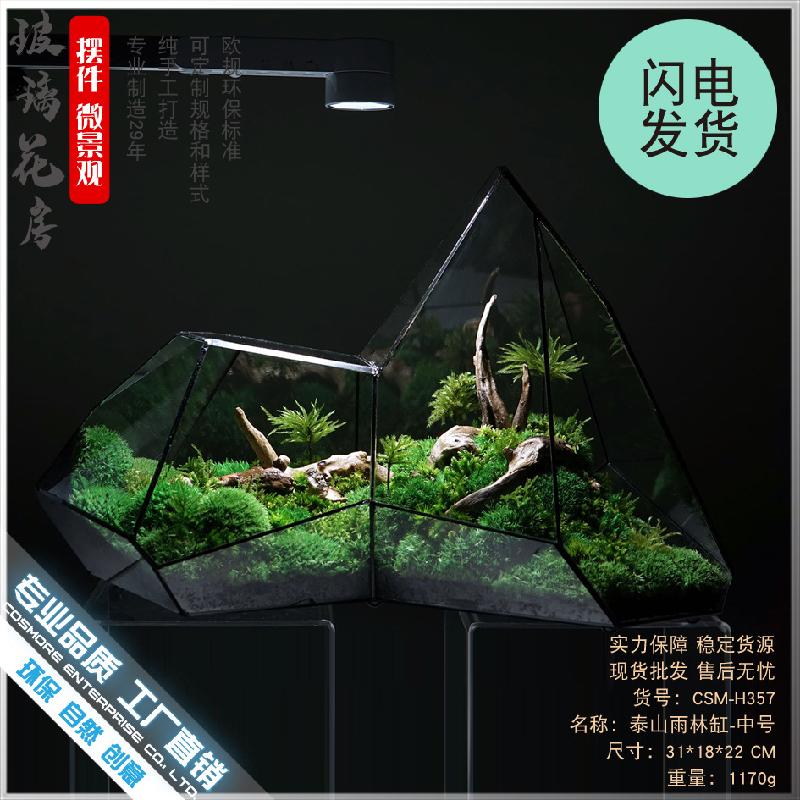 Chậu Đa Giác DG-6 Các cảnh quan nhỏ, rừng mây tảo, hình học rừng, tường kính, phòng hoa không đều, chai sinh thái không đều, các hộp cây thực vật nhiều thịt, các hộp cây cỏ nước và các bình hoa